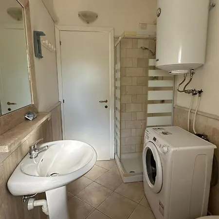 Magnolia * אולביה